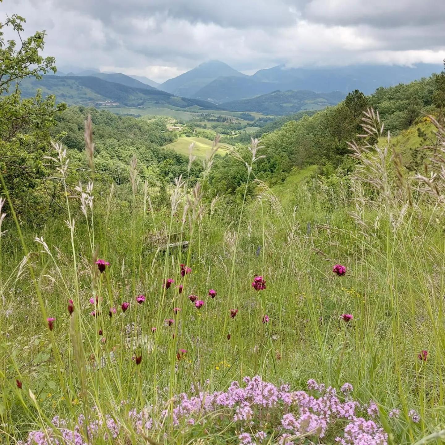 Bnb Bagno Di Bosco Губбио Экстерьер фото