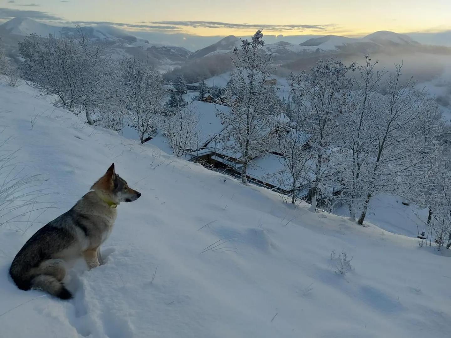Bnb Bagno Di Bosco Губбио Экстерьер фото